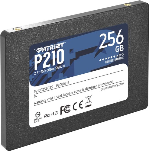PATRIOT PATRIOT P210 256GB