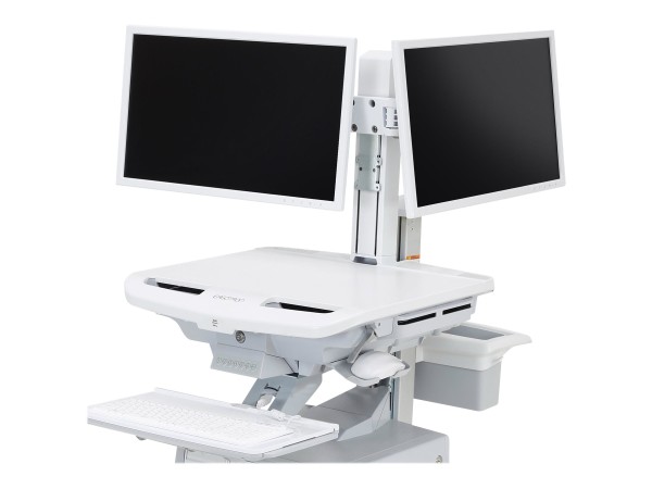 ERGOTRON STYLEVIEW DUAL MONITOR KIT 98-030