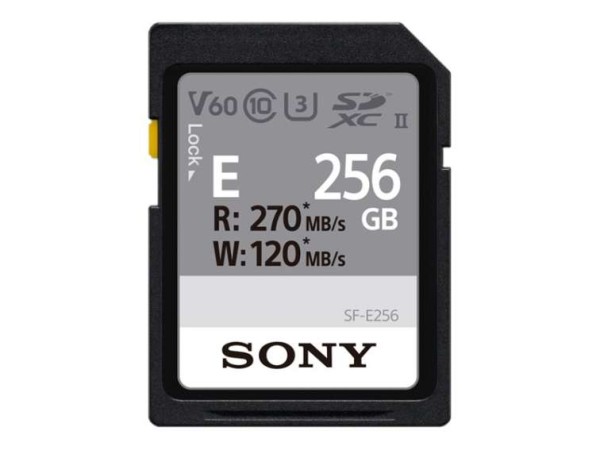 SONY SDXC E Series 256GB SFE256