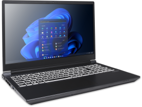 EXONE EXONE go Expert 1540 X14 39,6cm (15,6") i7-14650HX 32GB 1TB W11P