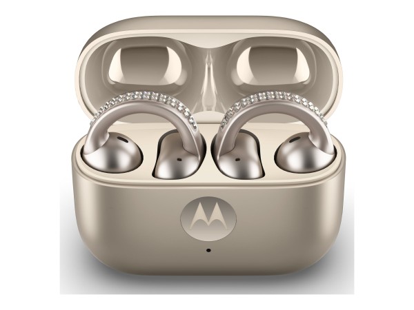 MOTOROLA MOTOROLA moto buds loop, Kabellos