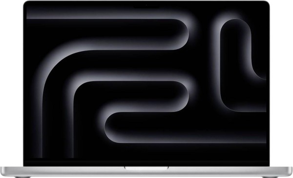 APPLE APPLE MacBook Pro 41,1cm (16,2") M4 Pro 48GB 1TB macOS