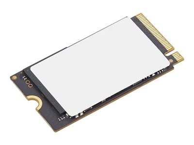 LENOVO LENOVO 4XB1P80585 1TB