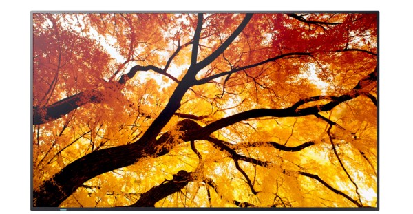 NEC NEC MODEL PN-M552 139,7cm (55")