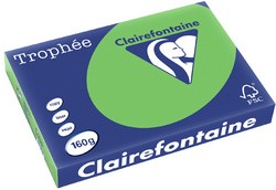 Clairalfa Multifunktionspapier Trophée, A3,160 g/qm,hellgrün