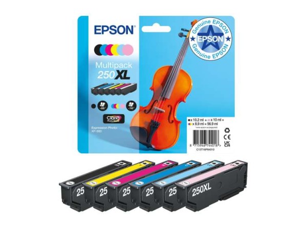 EPSON Multipack 6-colours 250XL Ink C13T16P84010