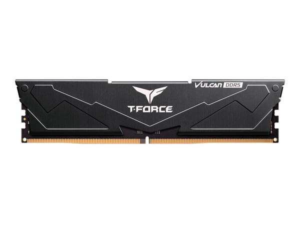 TEAM GROUP TEAM GROUP FLBD516G6000HC3001 16GB