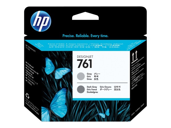 HP 761 Grau, Dunkelgrau Druckkopf CH647A
