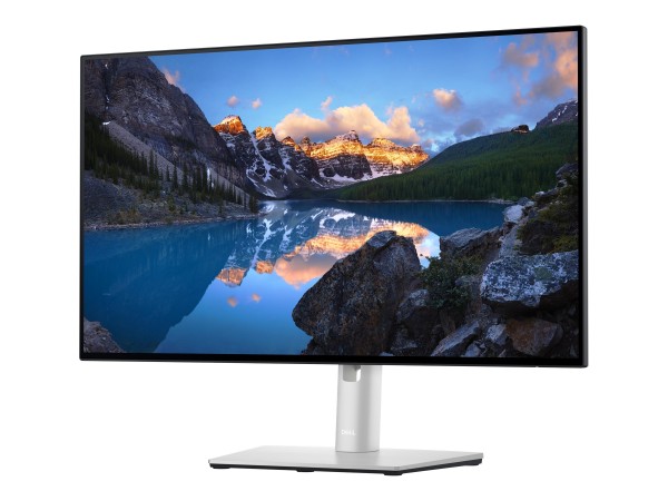 DELL UltraSharp U2422HE 61cm (24") DELL-U2422HE