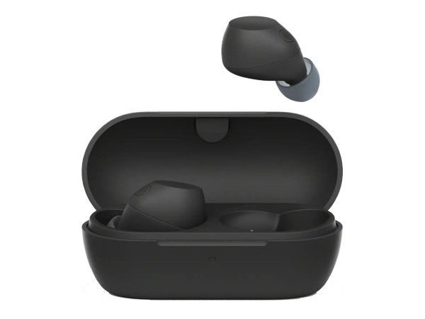 SONY SONY WF-C710N Truly Wireless Noise Can