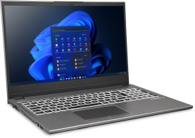 EXONE EXONE go Business 1560 X12 39,6cm (15,6") i5-1235U 8GB 512GB W11P