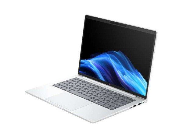 HP EliteBook 8 G1a 35,6cm (14") AMD Ryzen 7 250 32GB 1TB W11P AD3F0ET#ABD