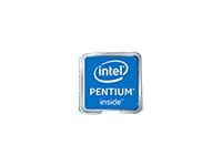 INTEL INTEL Pentium G6600 S1200 Tray