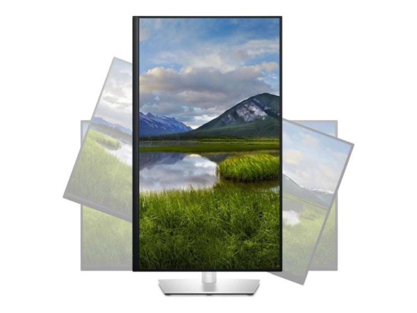 DELL P3223DE 81,3cm (32") DELL-P3223DE
