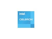 INTEL INTEL Celeron G6900 S1700 Tray