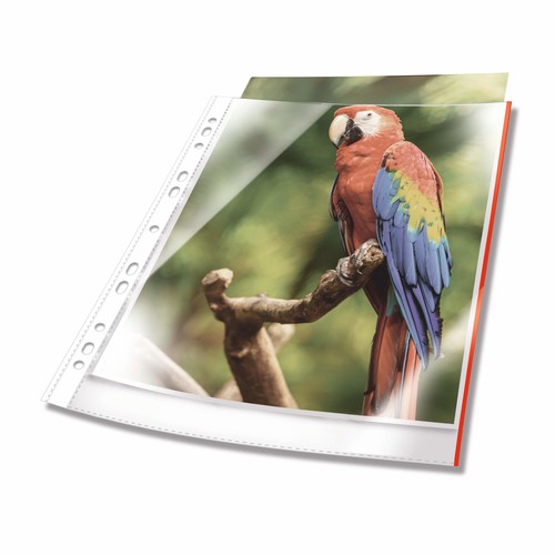 DURABLE Prospekthülle PREMIUM, DIN A4, PP, Rand rot 265503