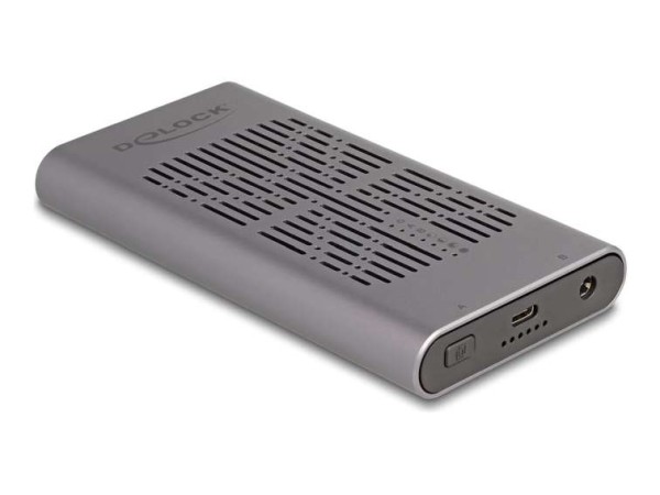 DELOCK Externes USB 20 Gbps Gehäuse 2 x M.2 NVMe PCIe SSD 42027