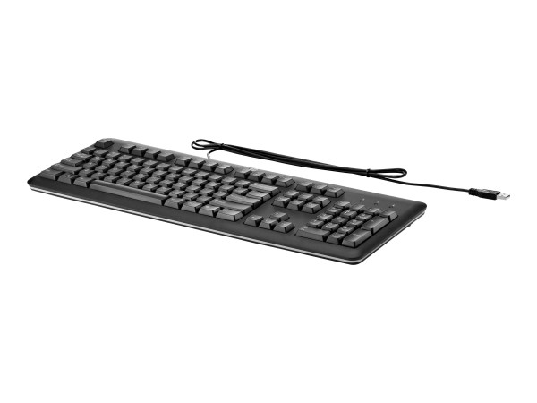HP HP Tastatur Standard Basis / USB / schwarz,