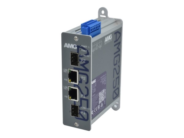 AMG SYSTEMS AMG SYSTEMS Medienkonverter AMG AMG250-2FBT-2S-P180 retail