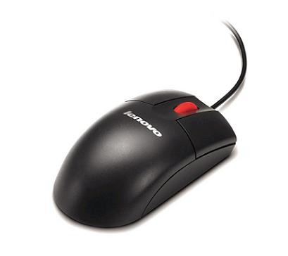 LENOVO LENOVO DCG ThinkSystem Optical Wheel Mouse - USB