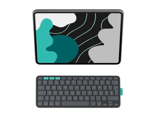 LOGITECH FLIP FOLIO-GRAPHITE -CH 920-013376