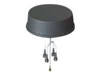 CISCO SYSTEMS Cisco - Antenne - außen - 5 dBi (for 2.4 ANT-5-4G2WL2G1-O=