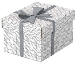 Esselte Aufbewahrungs- & Geschenkbox Home S, 3er Set, grau