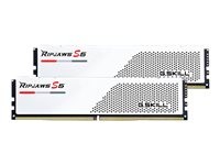 G.SKILL G.SKILL 32-RS5W 32GB Kit (2x16GB)