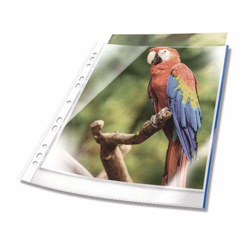 DURABLE Prospekthülle PREMIUM, DIN A4, PP, Rand blau 265406