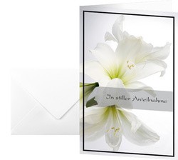 sigel Trauerkarte "Weiße Amaryllis", (B)115 x (H)170 mm