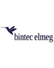 BINTEC-ELMEG Elmeg DECT 160