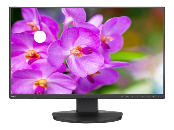 NEC MultiSync EA241F schwarz 60,45cm (23,8") 60004786