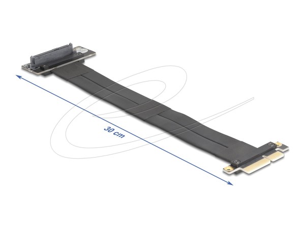 DELOCK DELOCK 81506, PCIe, U.2, Männlich, Schwarz, 0,3 m, 1 Stück(e)