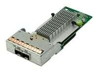 Infortrend Storage Host board, type-2, with 2x10GbE (SFP+) RES10G1HIO2-0010