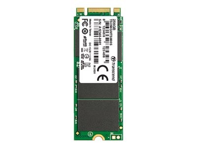 TRANSCEND TRANSCEND MTS600S 256GB