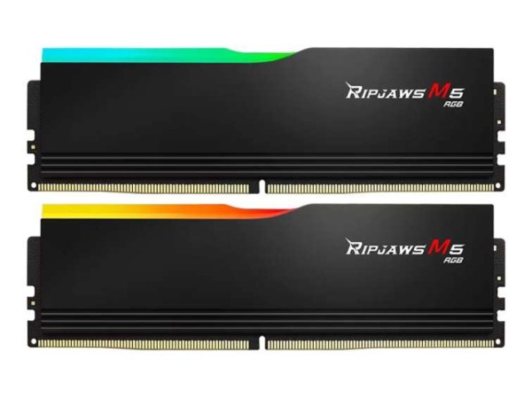G.SKILL F5-6400J3239F48GX2-RM5RK 96GB Kit (2x48GB) F5-6400J3239F48GX2-RM5RK