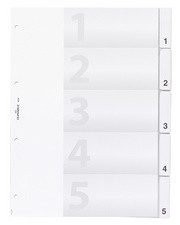 DURABLE Kunststoff-Register, A4, 10-teilig, transparent