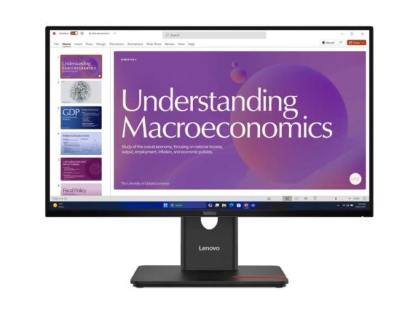LENOVO ThinkVision T24D-40 61cm (23,8") 64B9GAT1EU