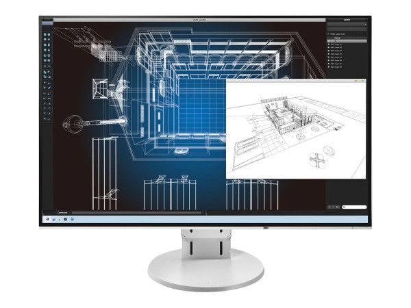 EIZO EV2456 61,2cm (24,1") EV2456-WT