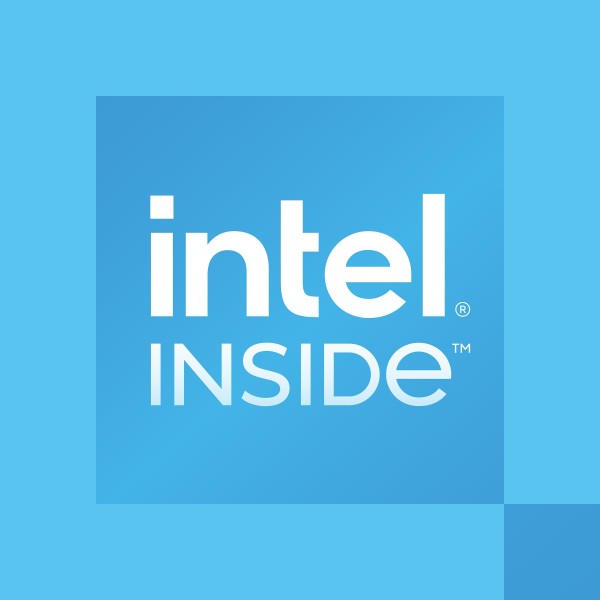 INTEL Processor 300T S1700 Tray CM8071505092003