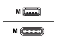 Cisco USB C - USB A CABLE