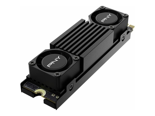 PNY PNY CS3150 1TB