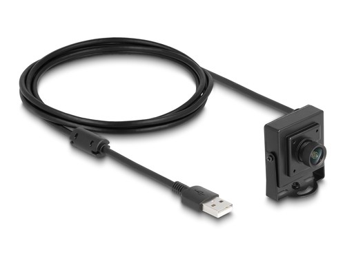 DELOCK DELOCK USB 2.0 Kamera 2,1megapixel 100 Fixfokus