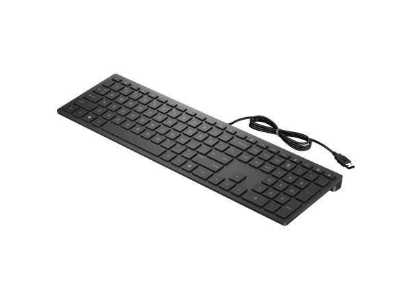 HP HP Pavilion Wired Keyboard 300 GR