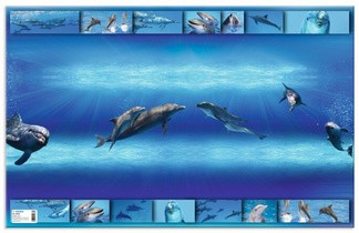 HERMA Schreibunterlage "Delfin", (B)550 x (H)350 mm