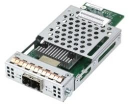 INFORTREND Infortrend Storage Host board, type-1, with 2xSAS-12G ports