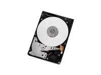 HGST HUC101212CSS600 C10K1200 0B25168 1,2TB 0B25168
