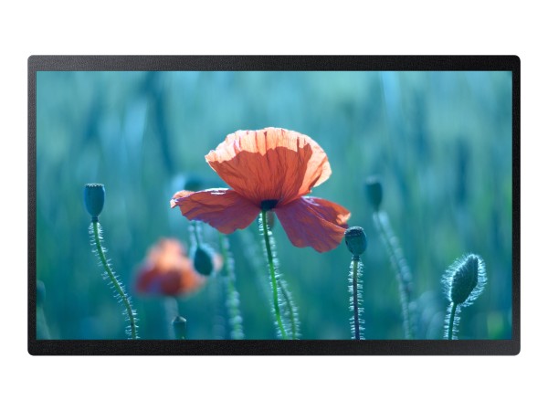 SAMSUNG SAMSUNG QB24R-B 60,96cm (24")