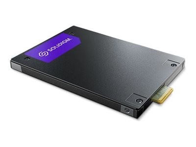 SOLIDIGM SOLIDIGM PS1010 15,36TB