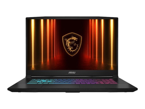 MSI MSI Katana 17 HX B14WGK-065 43,9cm (17,3") i7-14650HX 16GB 1TB W11